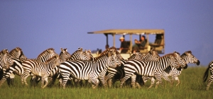 TA-Singita-Grumeti